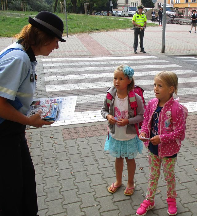 Zebra v Litoměřicích
