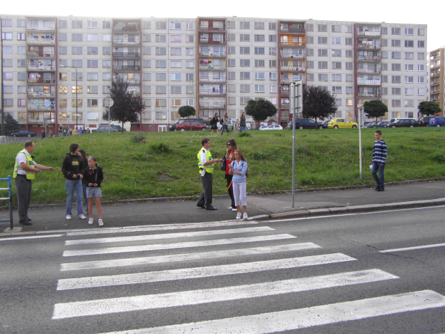 Zebra v Mostě