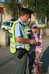 Zebra září 2008 Boskovice1.jpg