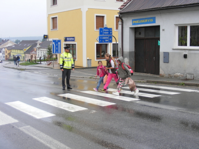 Zebra - září - Ves.n.L. 01.JPG