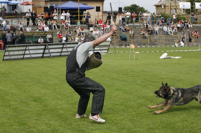 _MG_3184.JPG