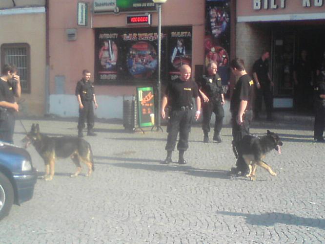služební psovodi
