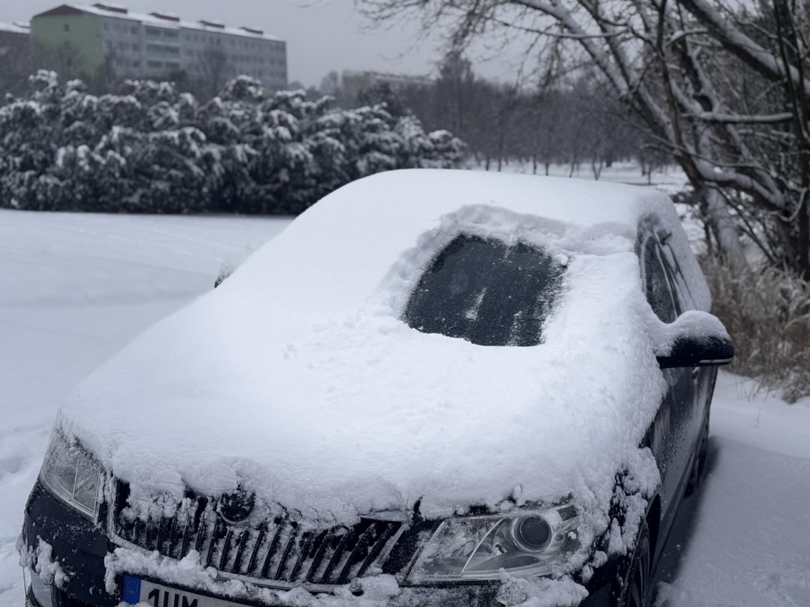 auto.jpg