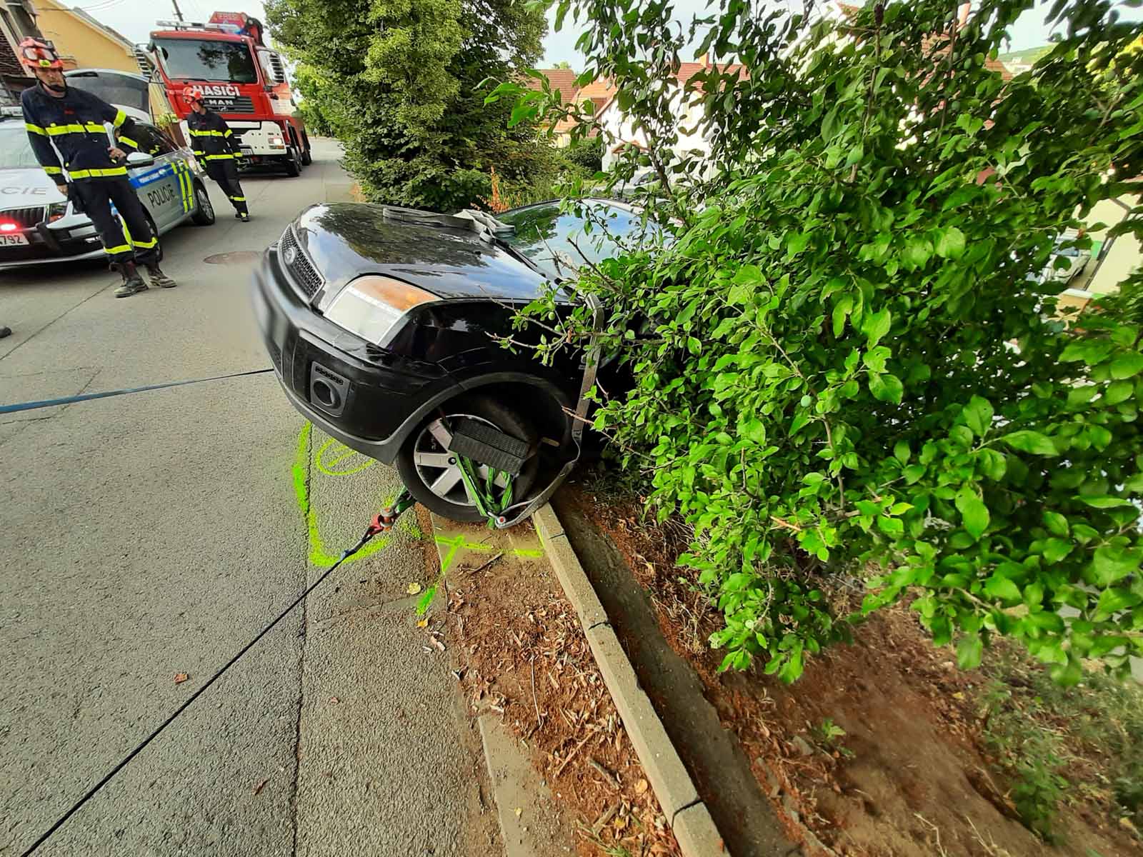 auto_4.jpg