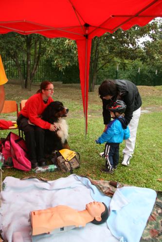 barrandov 2011 274.jpg