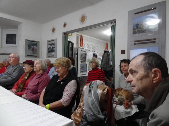 beseda 5