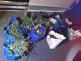 brambory_3