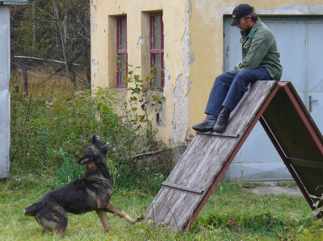 č. 5