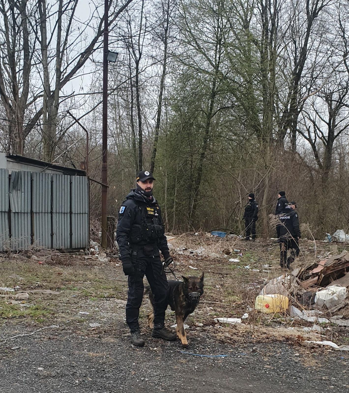 cizinecká_akce_tržnice_Ostrava (2).jpg