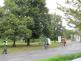 cyklisté Cheb 28.8.2013