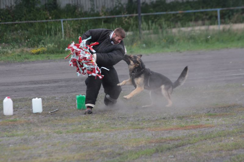 den_PČR_BK  (16).JPG