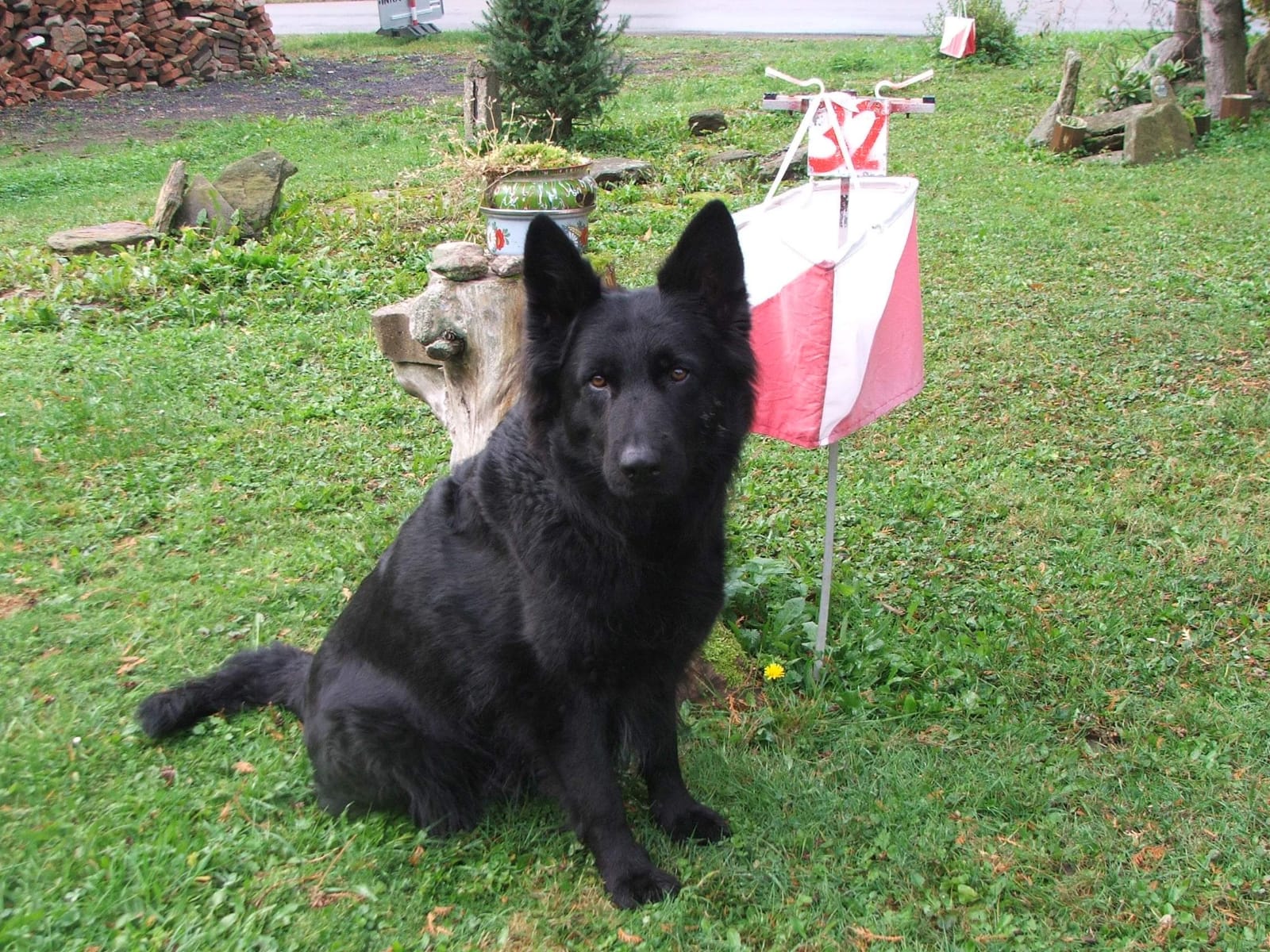 fenka Lidka
