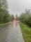 fotky