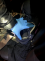 fotky