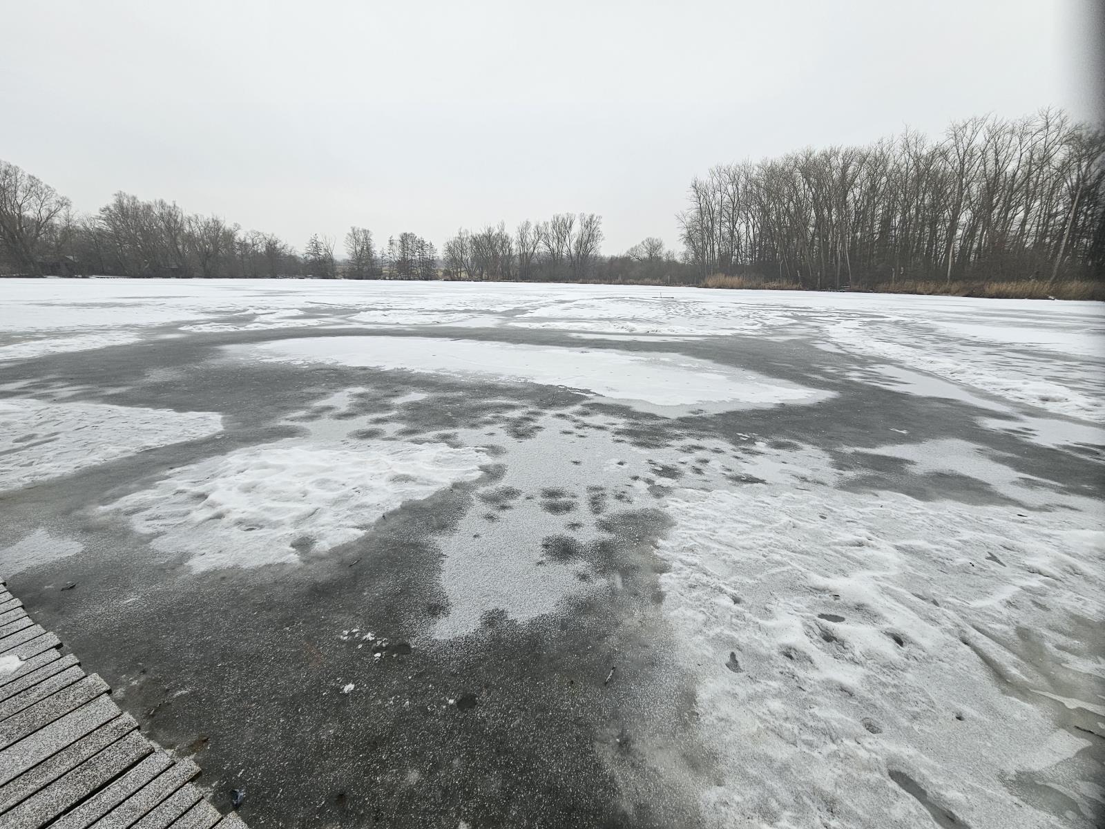 foto: Školní rybník