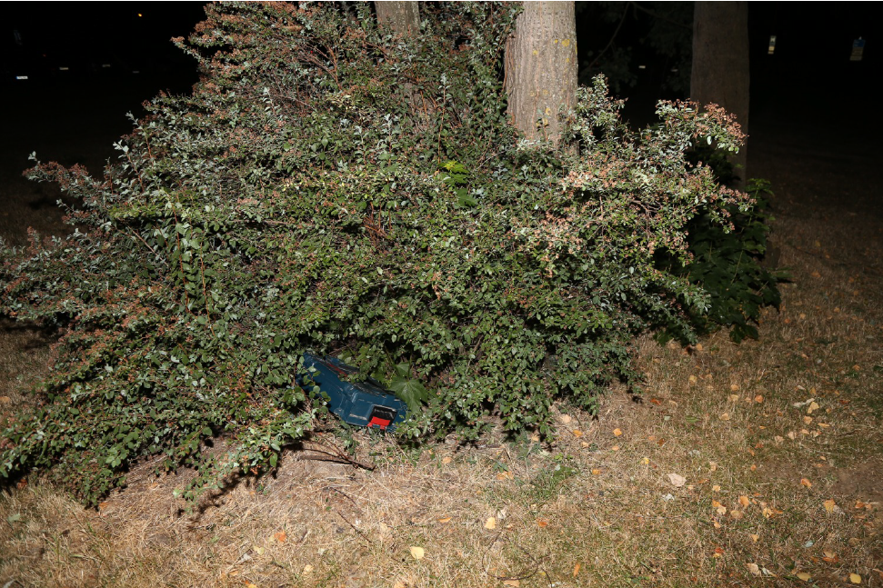 foto