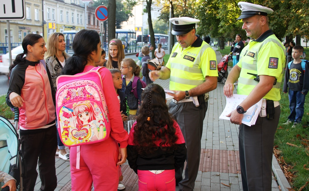 foto zebra OV I..JPG