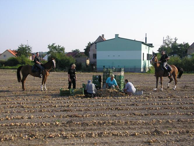 foto 003.jpg