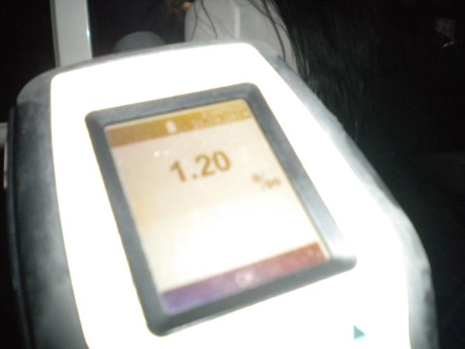 foto 010.jpg