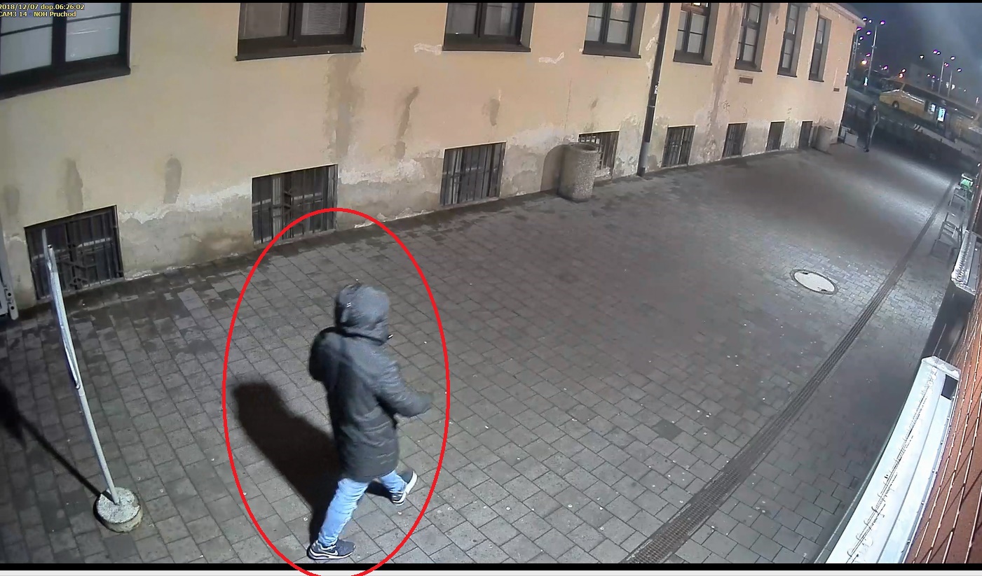 foto 1.jpg