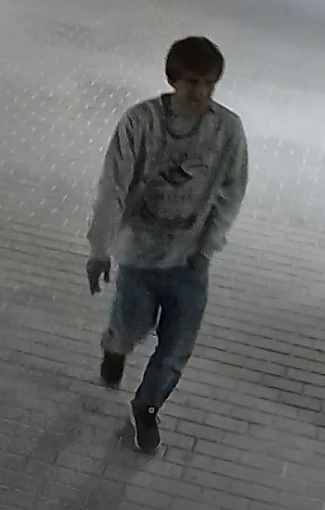 foto 1.png