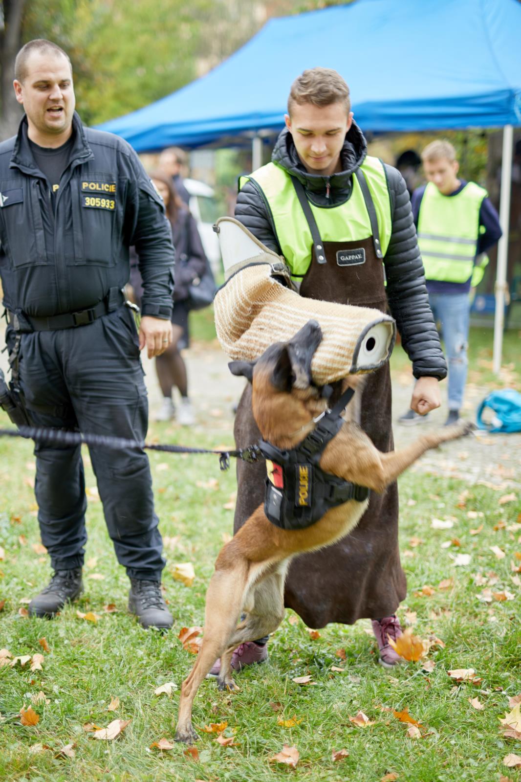 foto 10.jpg