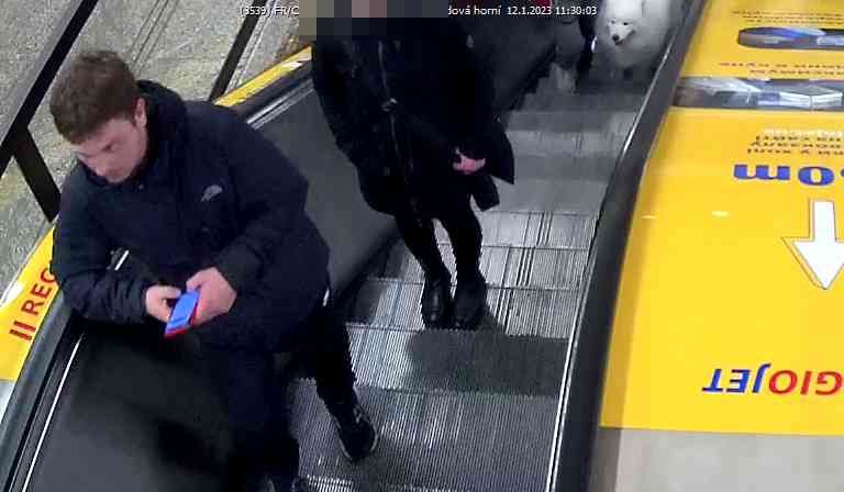 foto  (2).jpg