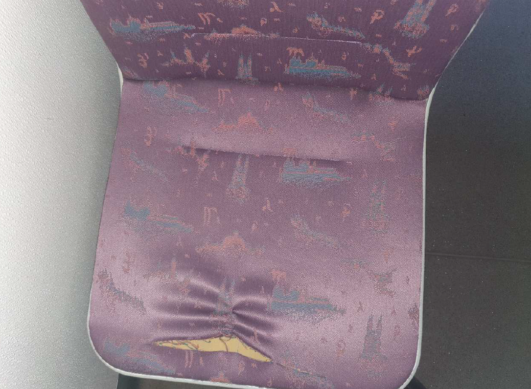 foto 2.png