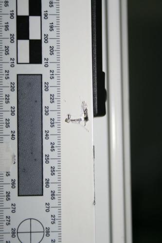 foto 3.jpg