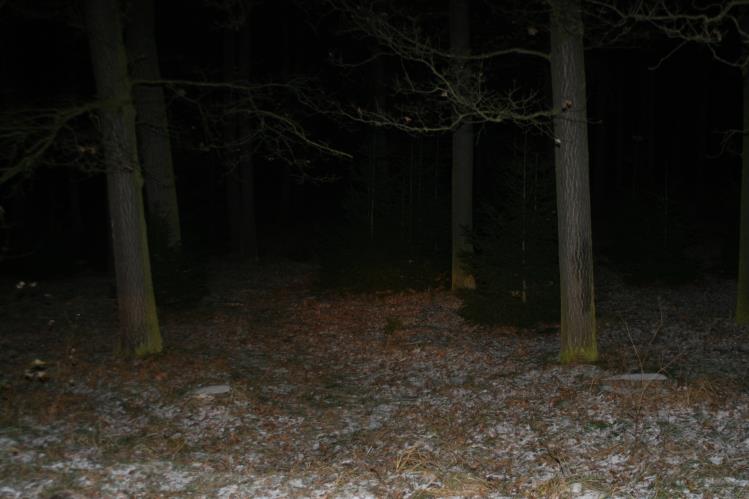 foto 4.