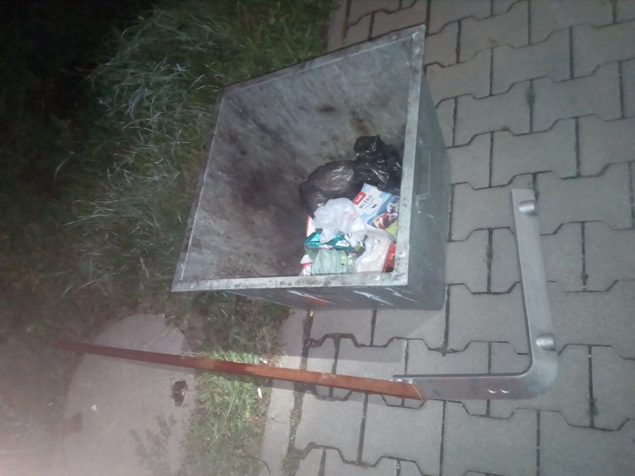 foto 4.jpg