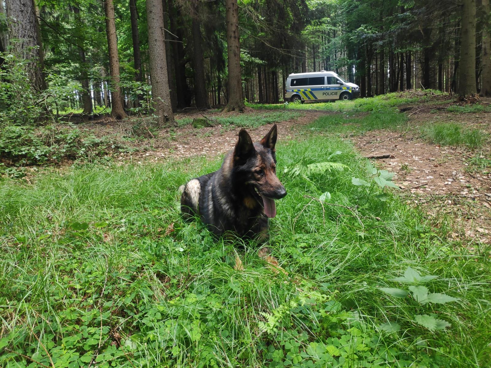 foto PČR