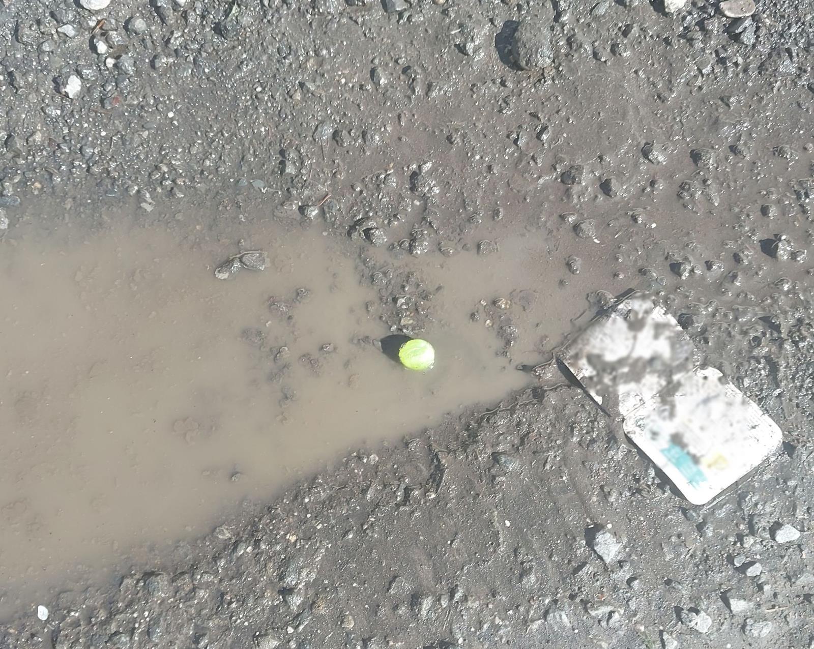 foto - bonbon.jpg