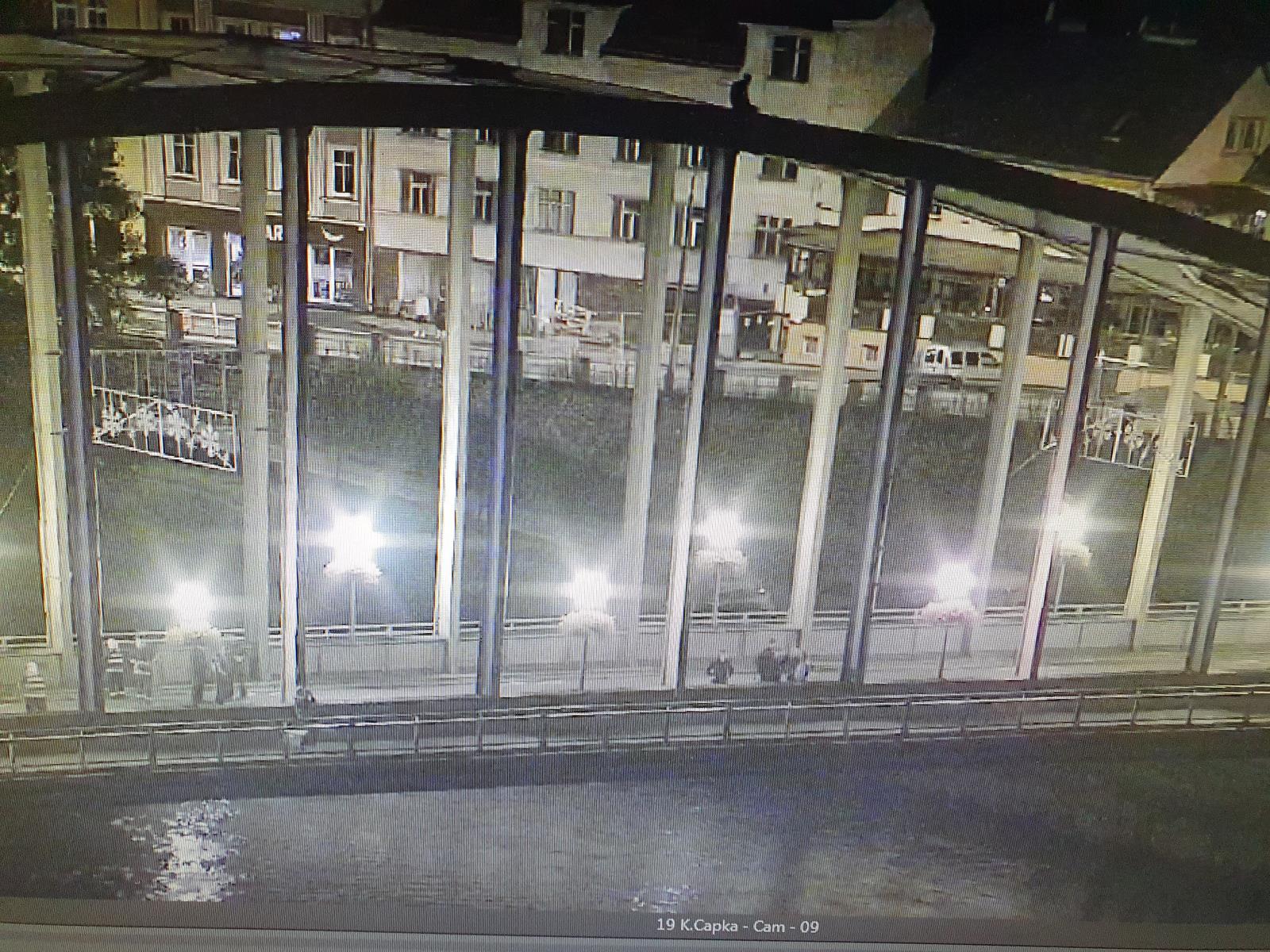 foto ze záchranné akce (zdroj MP Děčín)