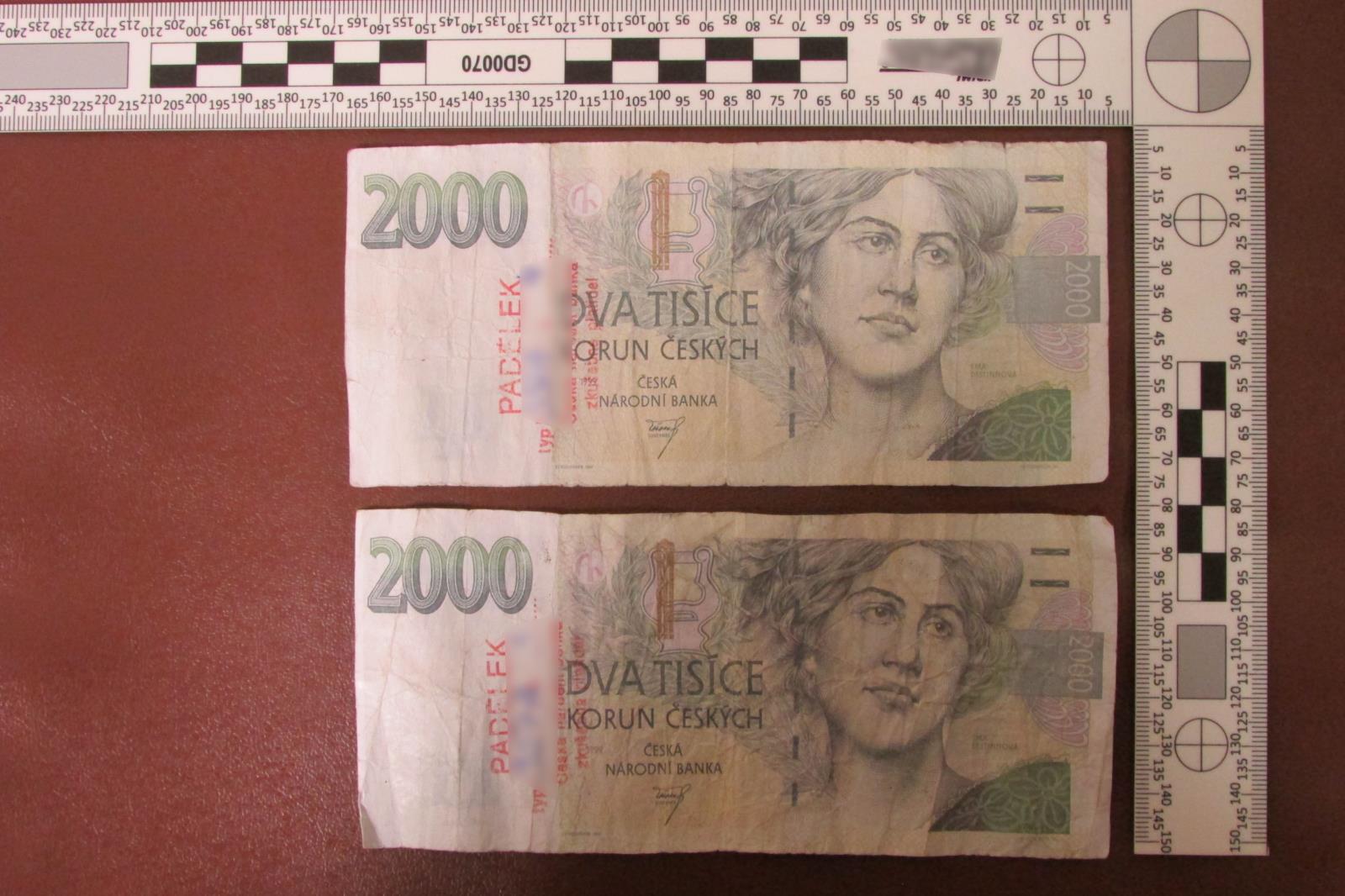 foto.JPG