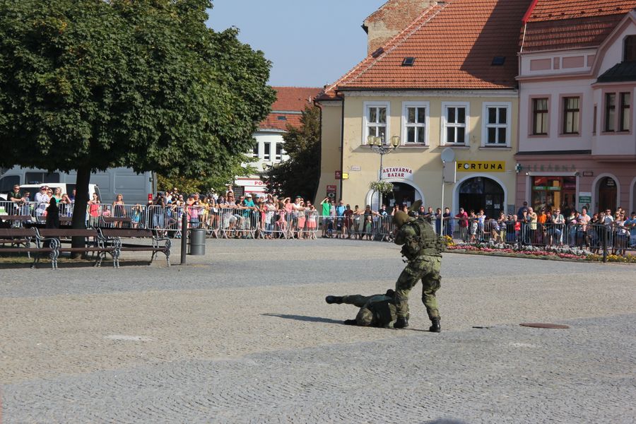 foto12.JPG