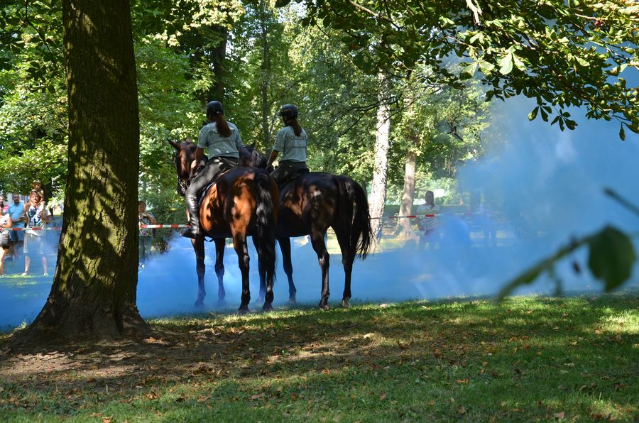 foto23.JPG