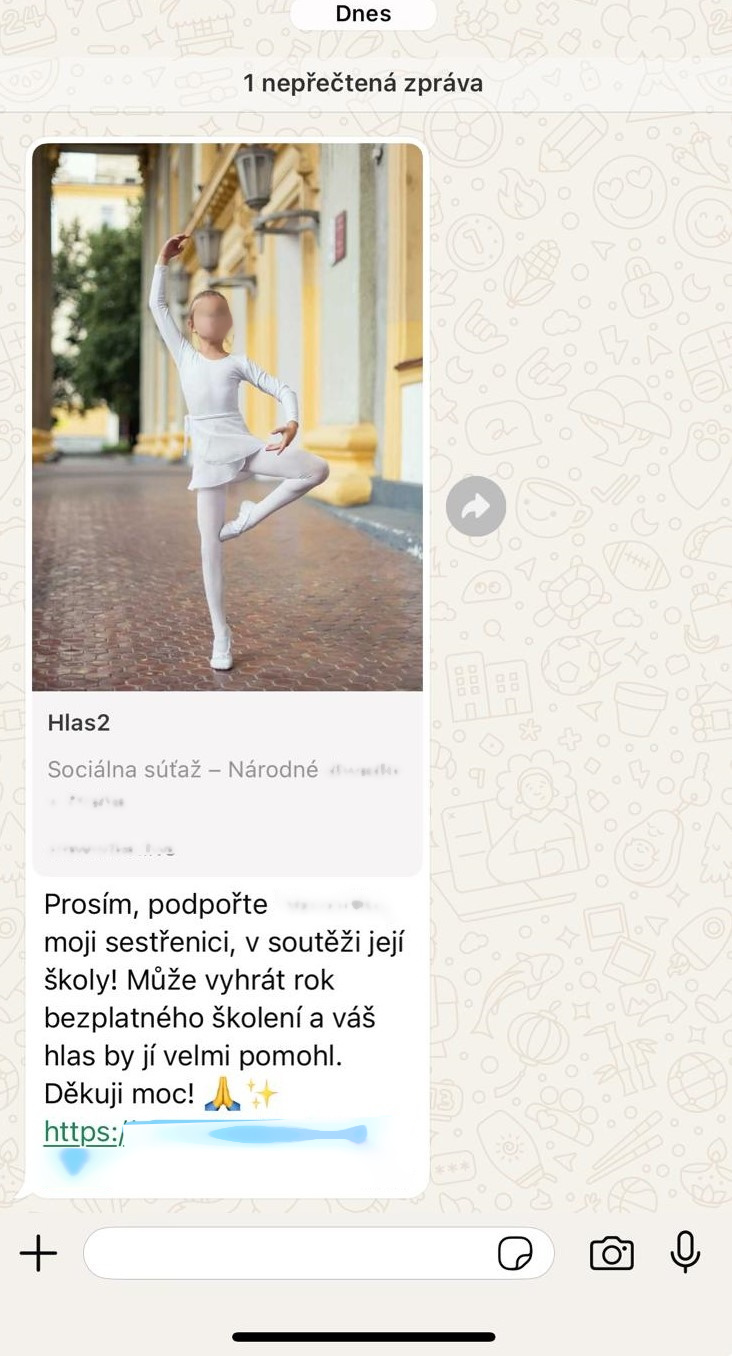 foto2_podvod_hlasování.jpg