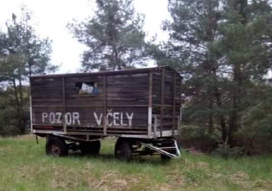 foto_01