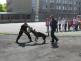foto_3