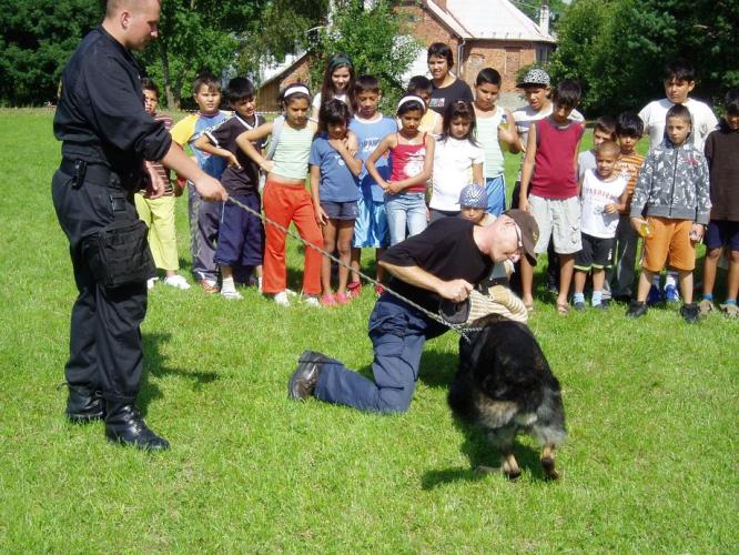 foto_3.jpg