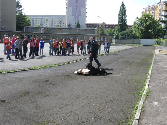 foto_4.jpg