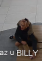 fotografie (3)
