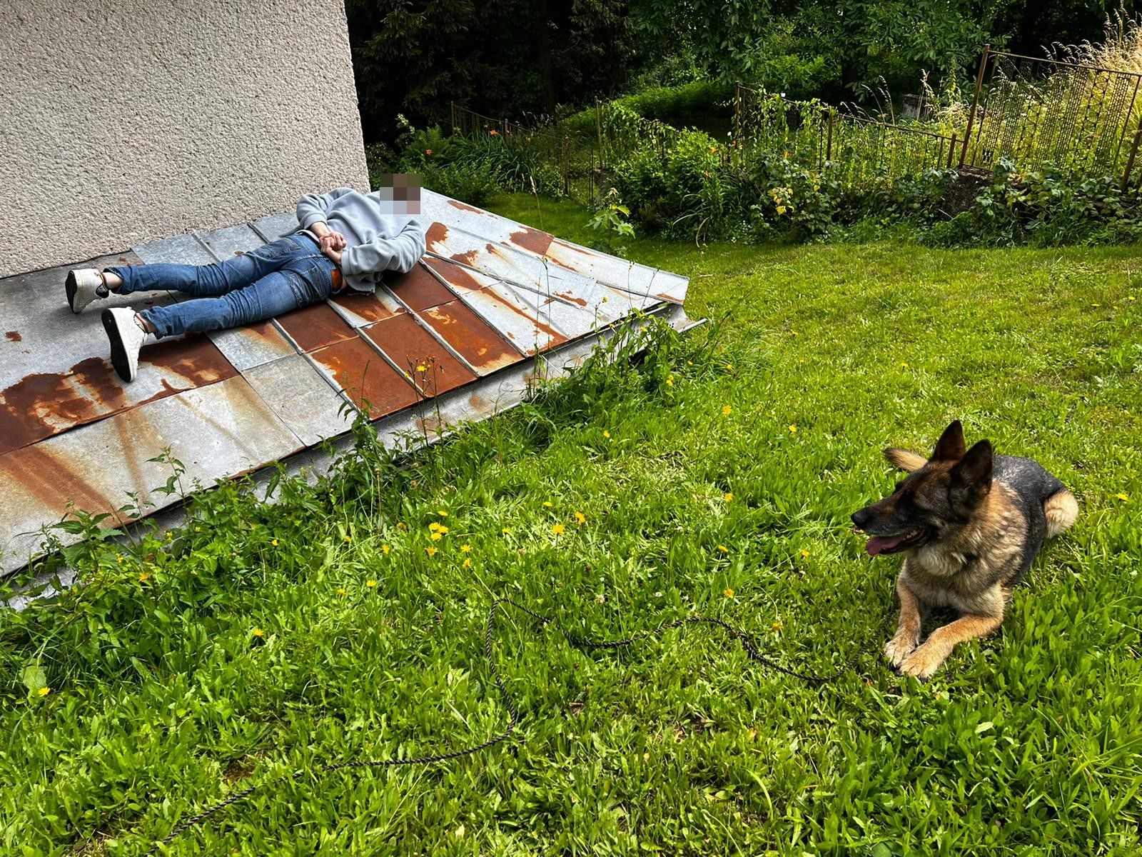 fotografie.jpg