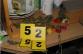 growshop3