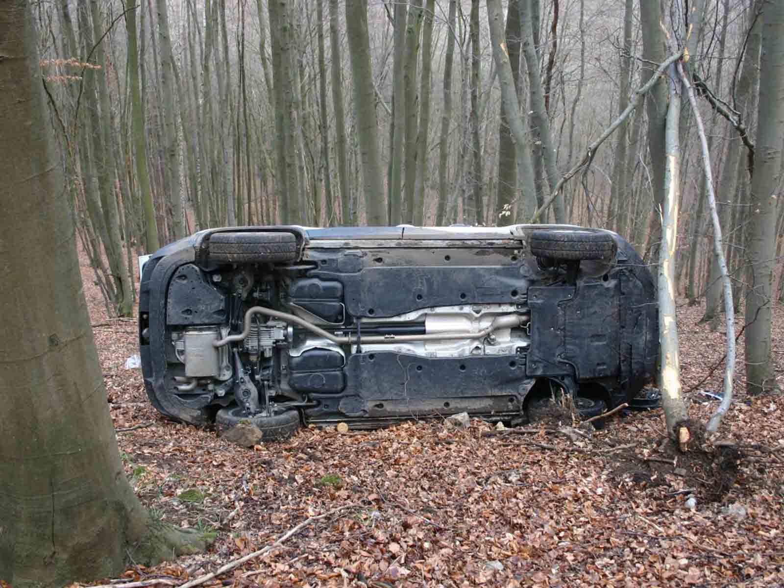 havárie_les_4.jpg