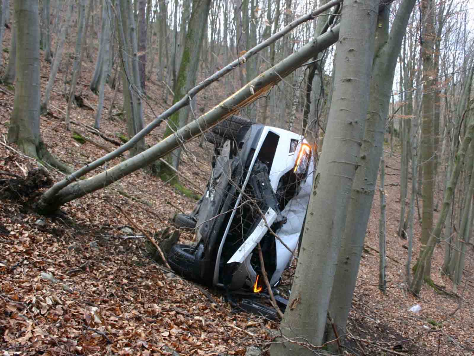 havárie_les_5.jpg