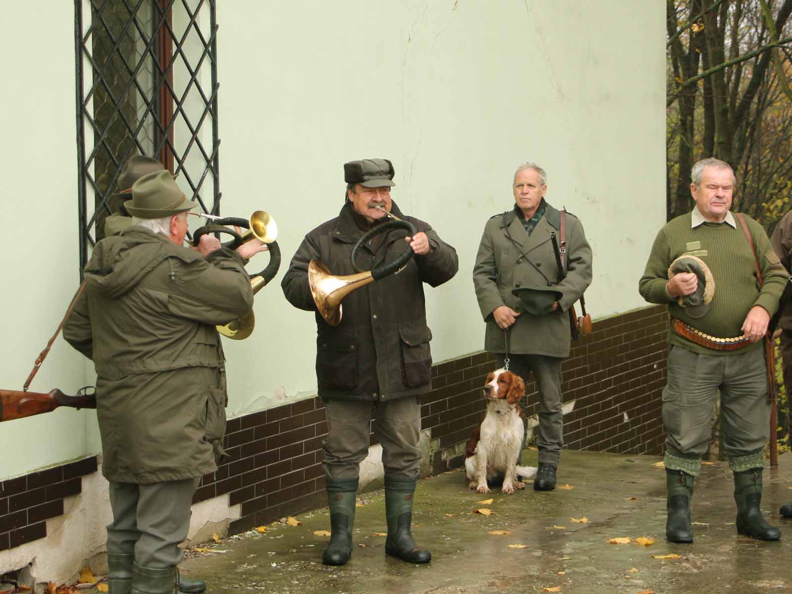 hony_6.jpg