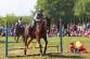 i letos návštěvníci měli možnost vidět nevšední ukázky