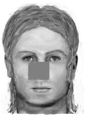 identikit 1